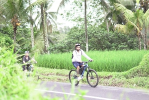 E-Bike: Ubud Rice Terrace i odwiedź lokalną świątynię na rowerze
