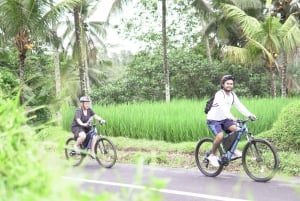 E-Bike: Ubud Rice Terrace & Visit Local Temple Cycling Tour