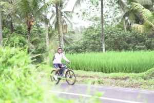 Sähköpyörä: Ubud Rice Terrace & Visit Local Temple Cycling Tour
