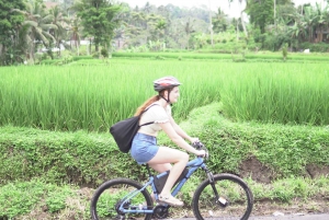E-Bike: Ubud Rice Terrace i odwiedź lokalną świątynię na rowerze