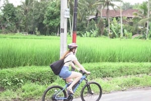 E-Bike: Ubud Rice Terrace & Visit Local Temple Cycling Tour