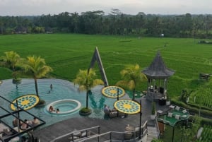 E-Bike: Ubud Rice Terraces & Traditional Villages Cycling