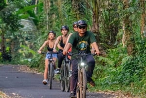 E-Bike: Ubud Rice Terraces & Traditional Villages Cycling