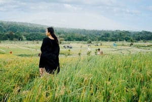 East Bali: Authentic Escape Private Tour (All-Inclusive)