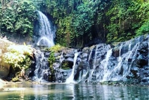 East Bali: Authentic Escape Private Tour (All-Inclusive)