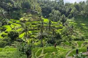 Восток Бали: однодневная экскурсия с лучшим гидом