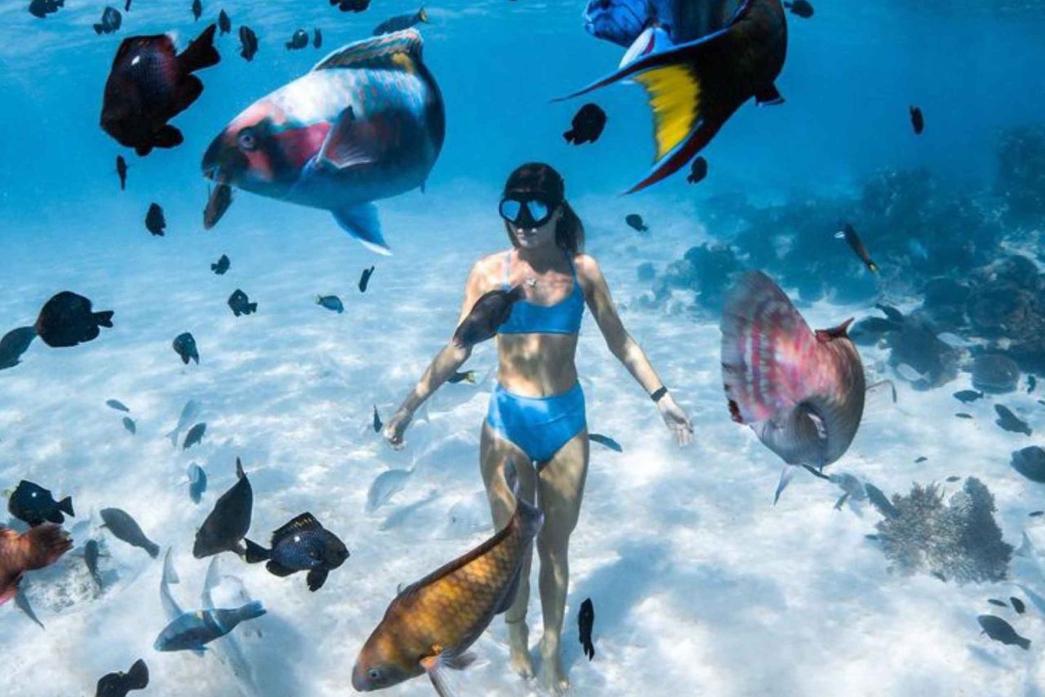 East Bali: Blue Lagoon Snorkeling wih Lunch