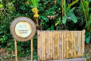 Øst-Bali: Himmelsporten og kulturtur