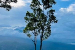 Восток Бали: Лаханган Свит, сноркелинг в Амеде и закат