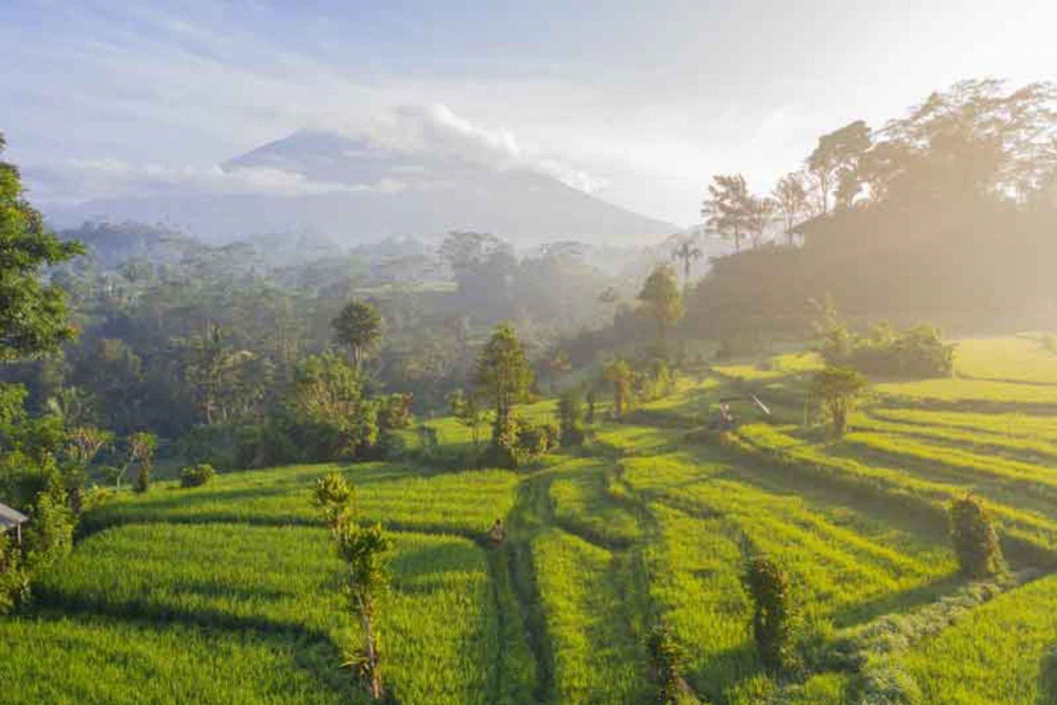 Wycieczka po wschodnim BALI