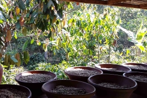 EAST BALI TRIP : BESAKIH TEMPLE/LAKE BATUR/TIRTA EMPUL