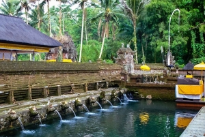 EAST BALI TRIP : BESAKIH TEMPLE/LAKE BATUR/TIRTA EMPUL