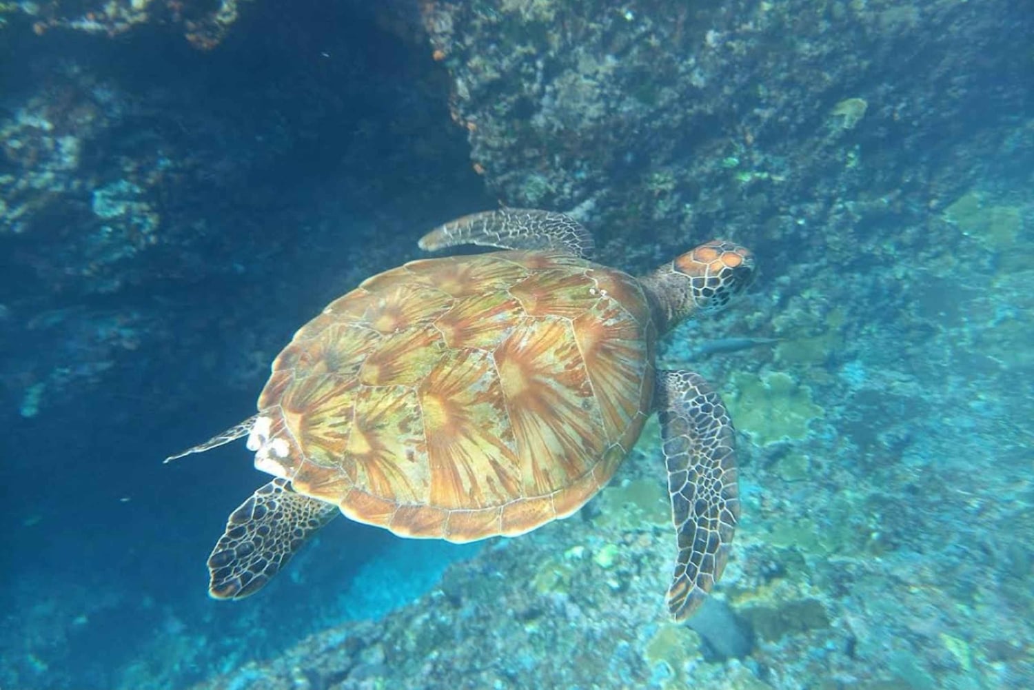 Восточная Нуса-Пенида и традиционное ткачество цепук