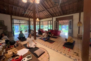 Ешьте, молитесь, любите Бали: исцеление и энергетический сеанс