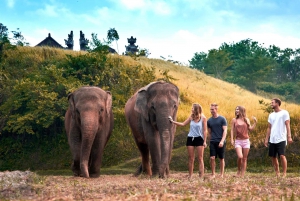 Elephant Care Experience with Mud Bath at Bali Zoo