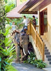 Elephant Safari Park Lodge Ubud