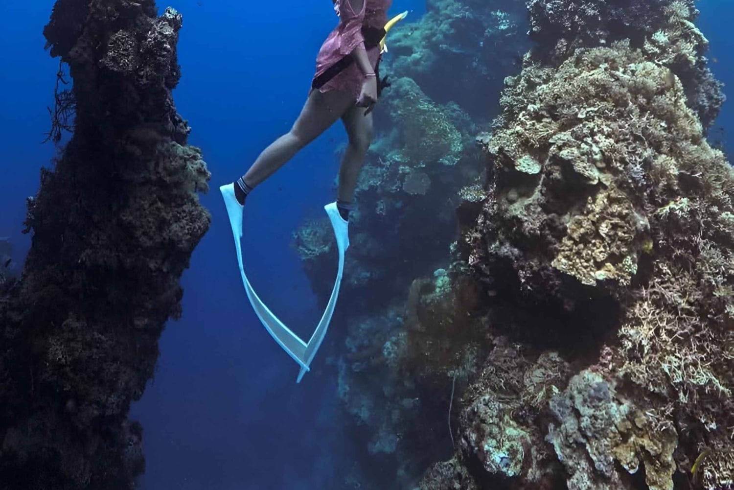 Elite Penida Snorkel: Exclusive Endemic Marine Tours