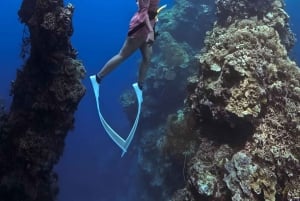 Elite Penida Snorkel: Exclusive Endemic Marine Tours