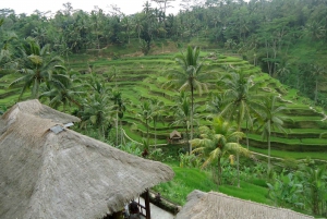 Nyt Ubud: Tegallalang, Tegenungan-fossen / Privat omvisning