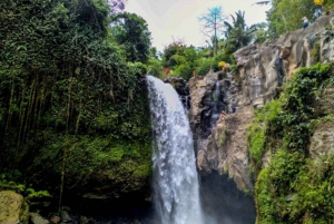 Nyt Ubud: Tegallalang, Tegenungan-fossen / Privat omvisning