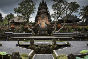 Nyt Ubud: Tegallalang, Tegenungan-fossen / Privat omvisning