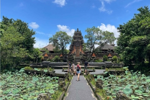 Nyt Ubud: Tegallalang, Tegenungan-fossen / Privat omvisning