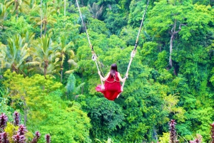 Nyt Ubud: Tegallalang, Tegenungan-fossen / Privat omvisning