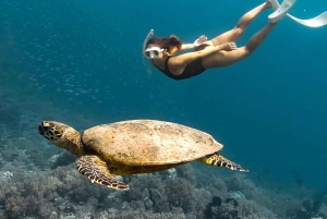 Exclusive 5 Secret Gilis: Snorkeling & Island Hopping