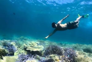 Exclusieve eendaagse tour naar het roze strand van Lombok en 3 Gilis