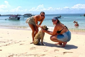 Exclusieve eendaagse tour naar het roze strand van Lombok en 3 Gilis