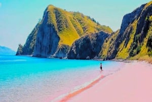 Exclusieve eendaagse tour naar het roze strand van Lombok en 3 Gilis