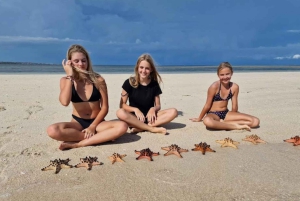 Exclusive One-Day Tour to Lombok's Pink Beach and 3 Gilis
