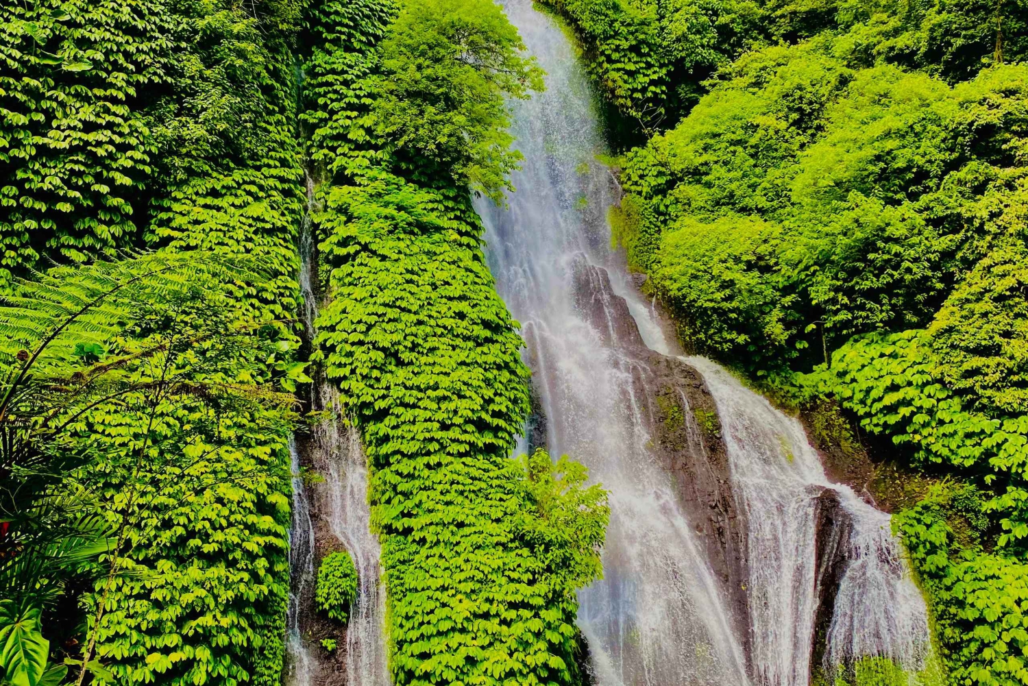 Explorez Munduk avec une excursion personnalisée de 8 heures dans le nord de Bali.