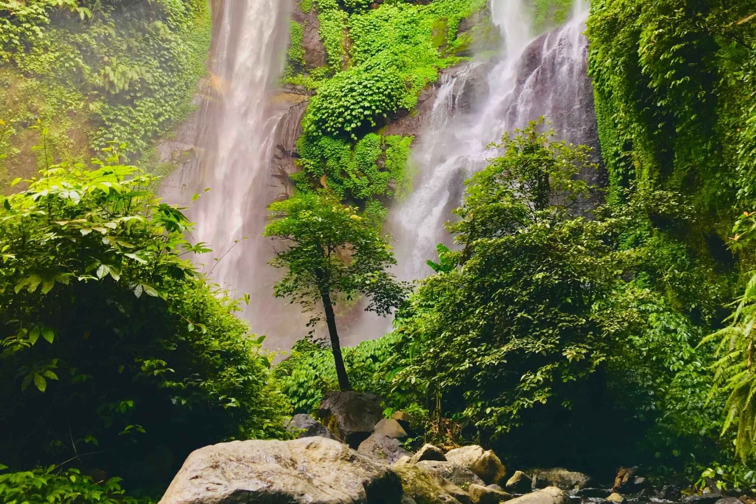 Explorez Munduk avec une excursion personnalisée de 8 heures dans le nord de Bali.