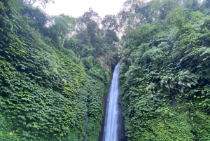 Tutustu Mundukiin räätälöidyllä 8 tunnin päiväretkellä Pohjois-Balilla