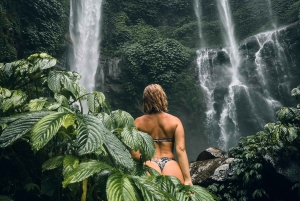 Explorez Munduk avec une excursion personnalisée de 8 heures dans le nord de Bali.