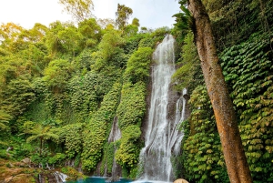 Explorez Munduk avec une excursion personnalisée de 8 heures dans le nord de Bali.