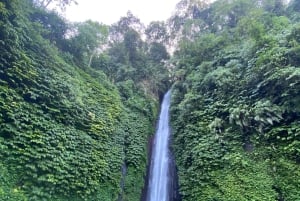 Explorez Munduk avec une excursion personnalisée de 8 heures dans le nord de Bali.