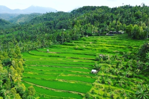 Explorez Munduk avec une excursion personnalisée de 8 heures dans le nord de Bali.