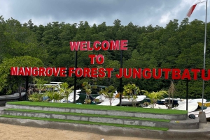 伝統的な車と現地ガイドと共にレンボンガン島を探索しましょう