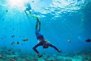 Explore Nusa Penida Tour e mergulho com snorkel saindo de Bali