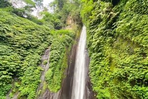 Poznaj tarasy ryżowe Munduk i trekking do wodospadu