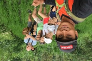 Utforsk risterrassene i Munduk og vandring i fossefall