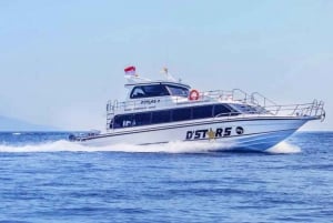 Sanur : Nusa Penida et Nusa Lembongan en bateau rapide