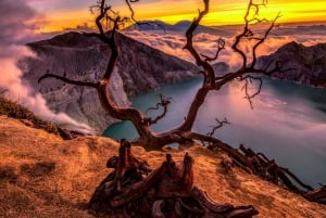 Depuis Bali : 1 journée d'excursion au volcan Ijen Blue Fire depuis Bali