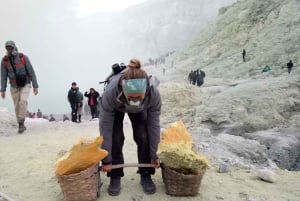 From Bali: 1 Day Ijen Volcano Blue Fire Tour From Bali