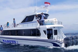 Vanaf Bali: 1-Vegen Fast Boat Sanur van/naar Nusa Penida