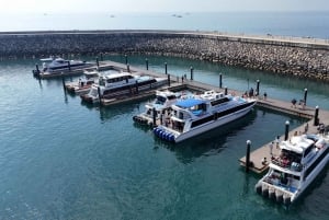 Vanaf Bali: 1-Vegen Fast Boat Sanur van/naar Nusa Penida