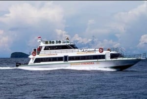 Depuis Bali : Transfert simple en bateau rapide vers Lombok
