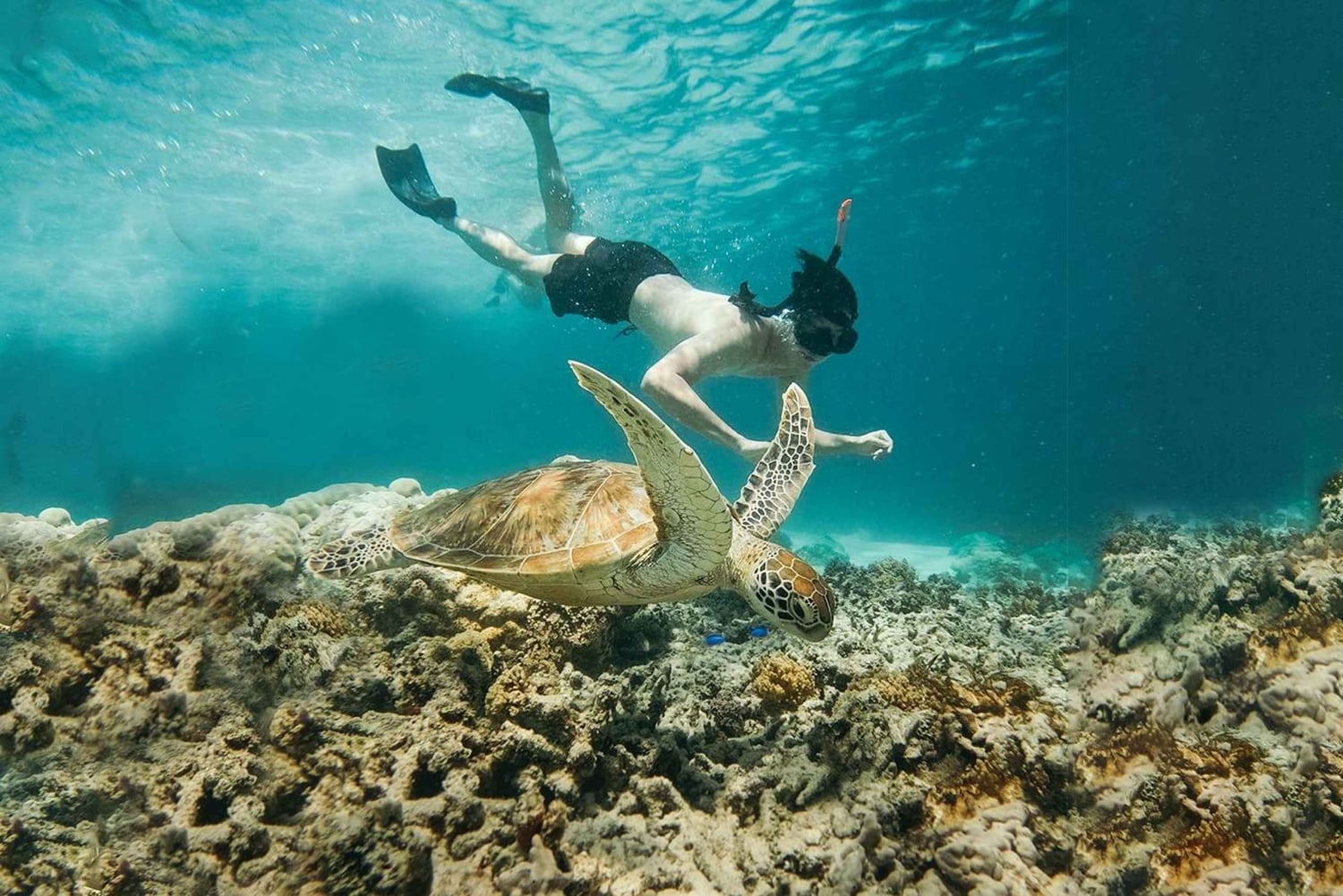 Au départ de Bali : 2D1N Gili Island Private Snorkel Boat with Hotel